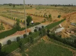 Noida News