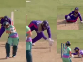 Cricket Viral Video