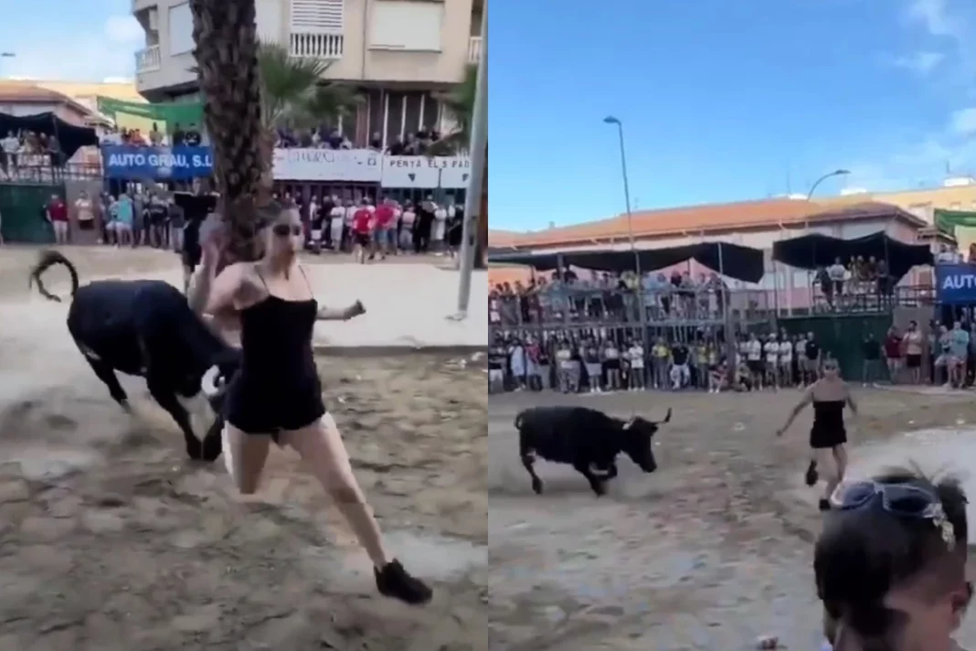 Viral Video: Scary! Bull fiercely attacks a Girl; she runs for her life | Watch what happens next