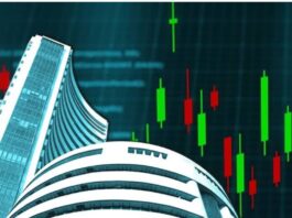 Top 5 stocks of the day