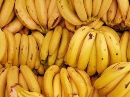 Bananas
