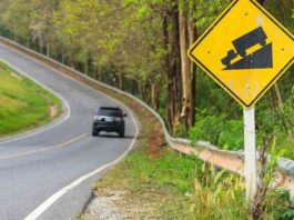 Car Safety Features