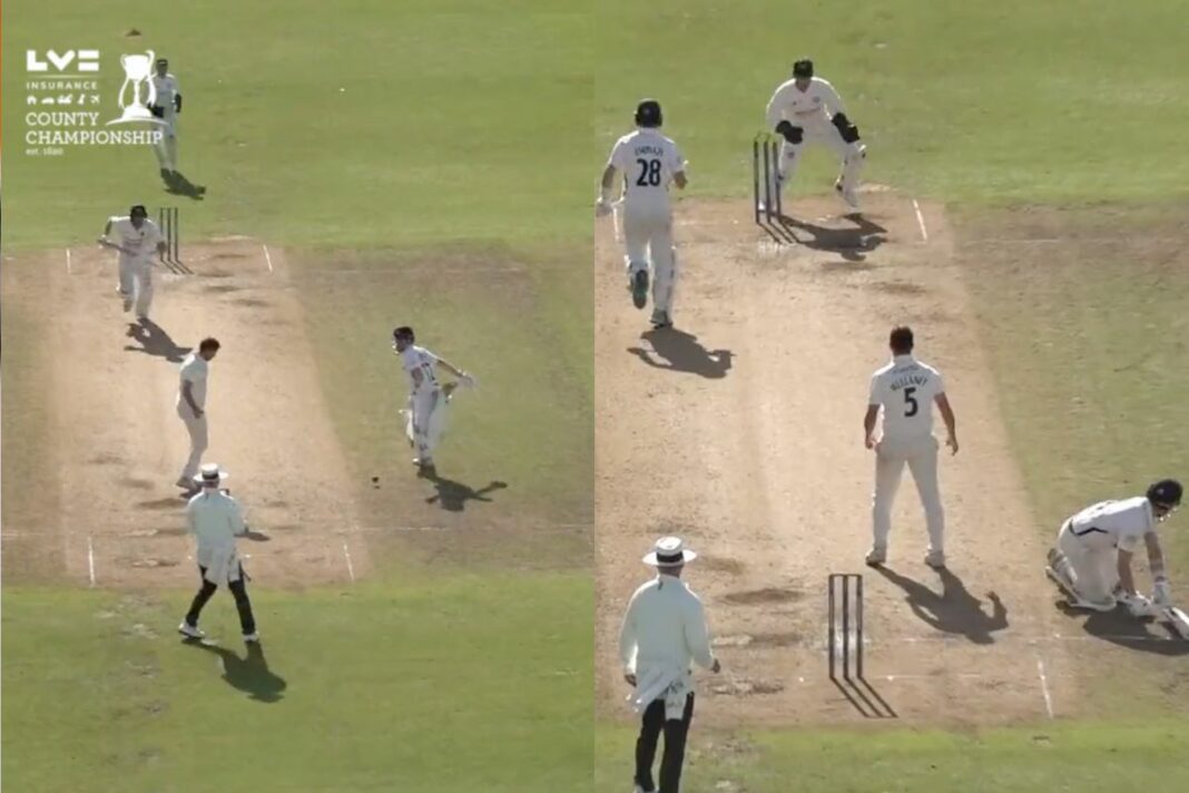 Cricket Viral Video