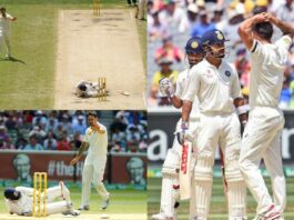 Cricket Viral Video