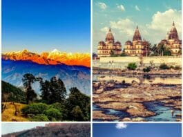 Domestic Destinations