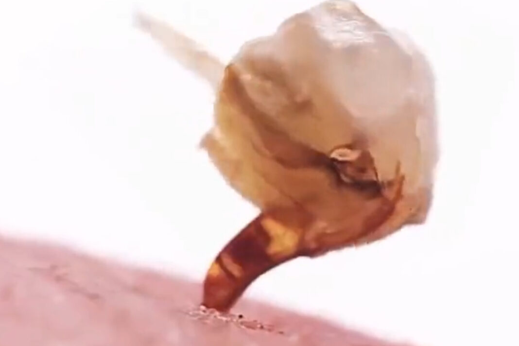 Viral video