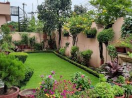 Vastu Tips