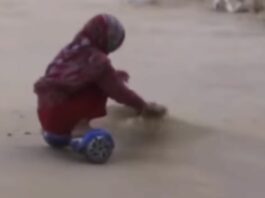 Viral Video