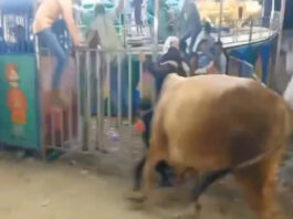 Viral Video