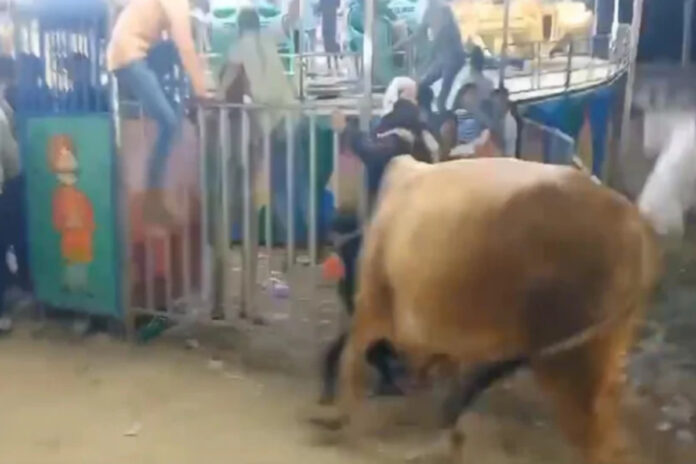 Viral Video (15) Viral Video