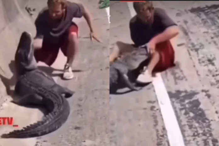 Viral Video (3) Viral Video