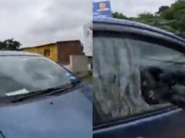 Viral Video