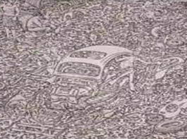 optical illusion