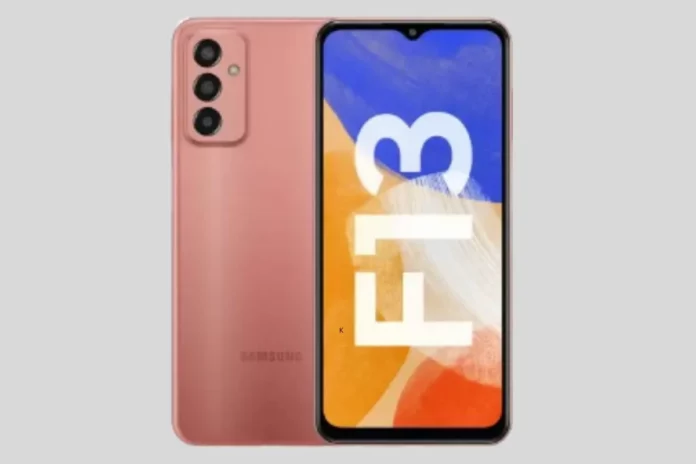 Galaxy F13