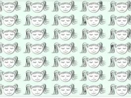 Optical Illusion