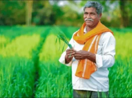 PM-KISAN 15th Installment