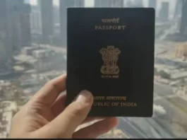Passport News