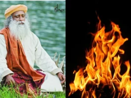 Sadhguru Tips