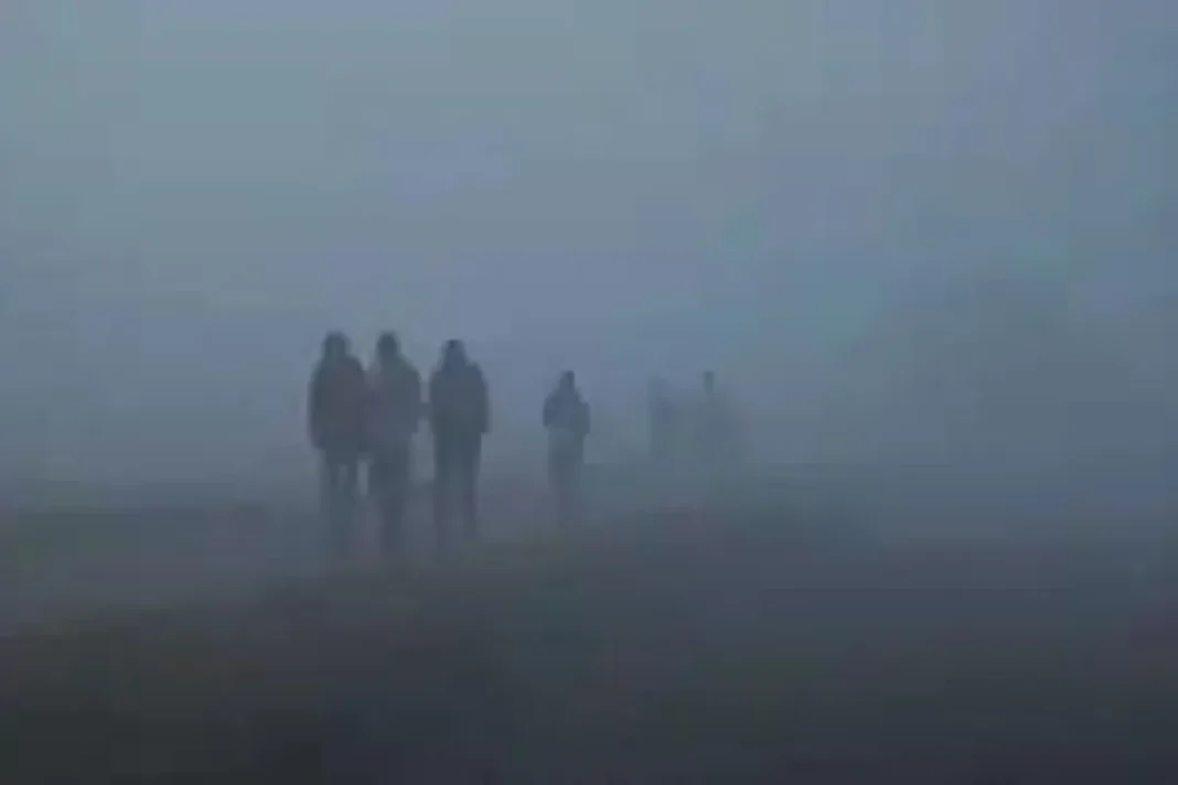 Winter and Fog