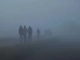 Winter and Fog