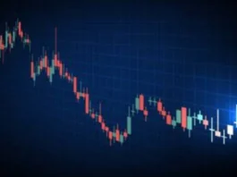 Top 5 stocks of the day