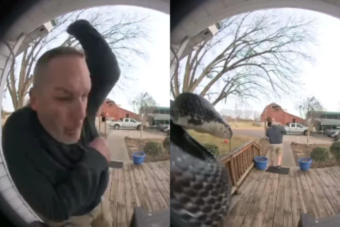 Animal Viral Video (13) Animal Viral Video