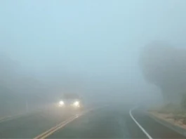 Driving Tips: Driving in Fog? Do Read these tips to be safe on the road