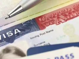 H-1B Visa holders will be able to renew them without leaving the US from January 2024, Details