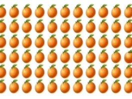 Optical Illusion