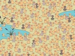 Optical Illusion