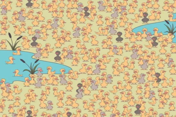 Optical Illusion (6) Optical Illusion