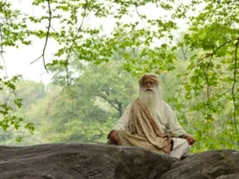 Sadhguru Tips