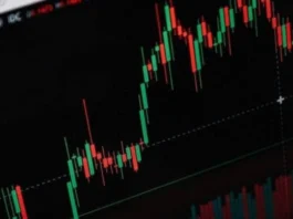 Top 5 stocks of the day