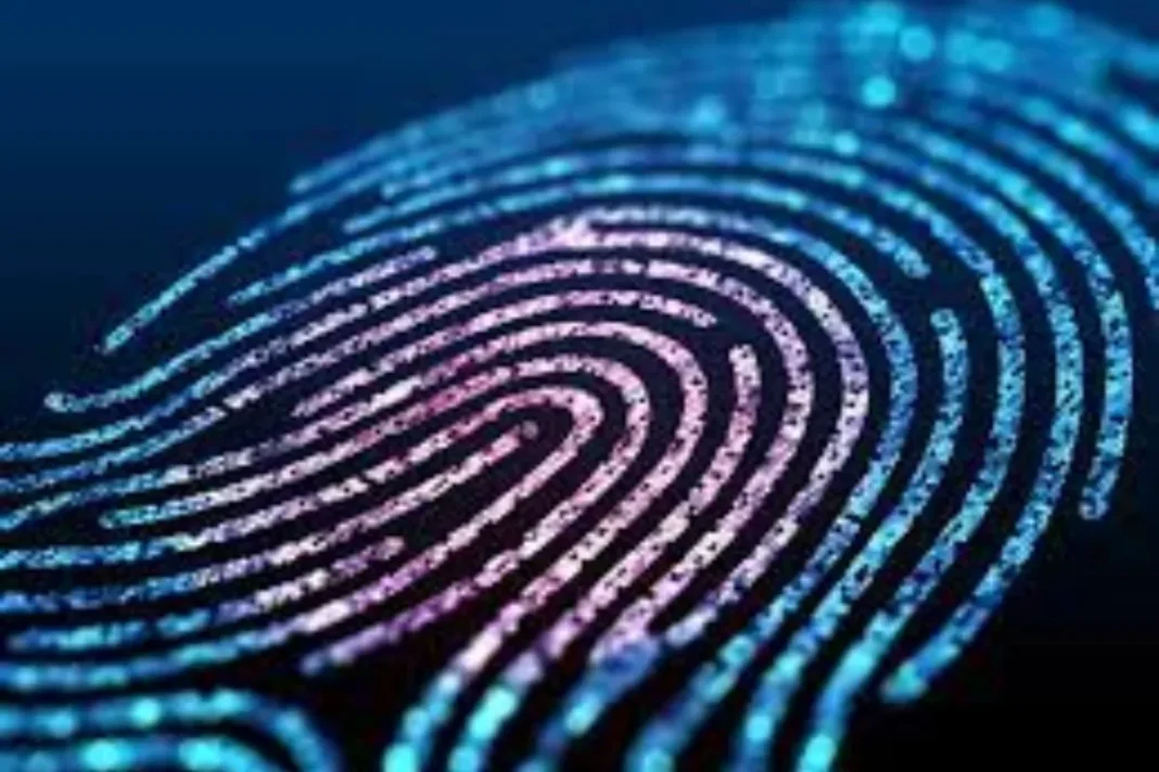 AI Study on Fingerprints