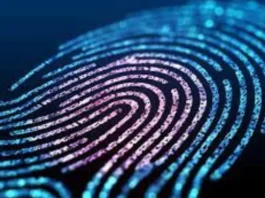 AI Study on Fingerprints