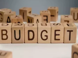 Budget 2024