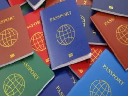 Dual Citizenship