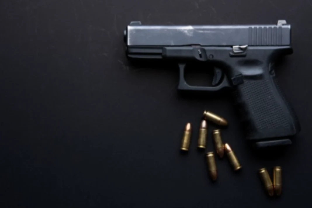 Gun License Rule