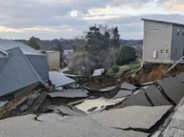 Japan Earthquake