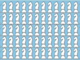 Optical Illusion