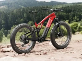 Vanpowers e-bike