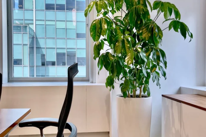 Vastu Tips (10) Vastu Tips