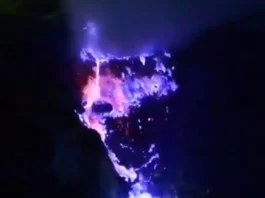 Viral Video