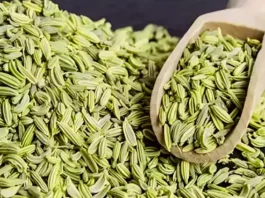 Effects of Chewing Fennel Seeds