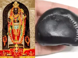 Krishna Shila Stone Used in Crafting Ram Lalla Idol