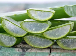 Aloe Vera Benefits