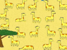 optical illusion