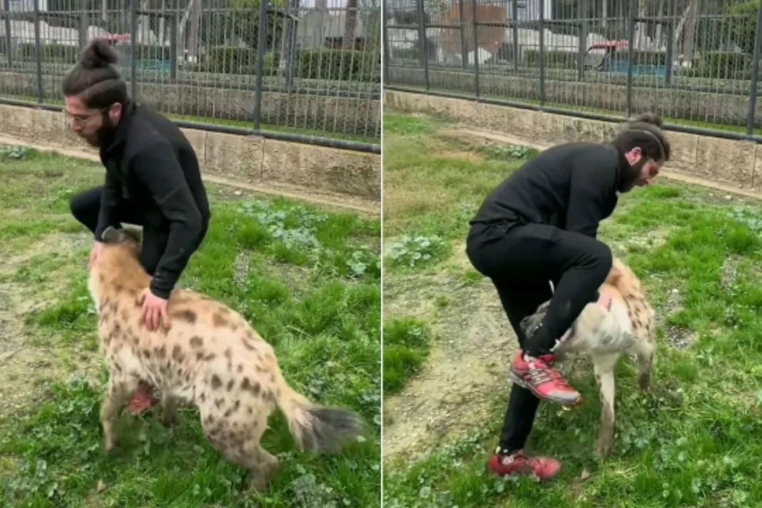 Animal Viral Video