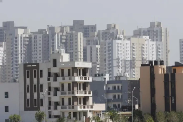 Noida News (3) Noida News