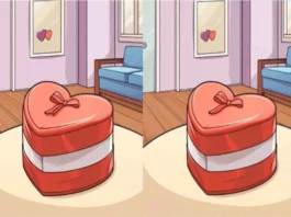 Optical Illusion